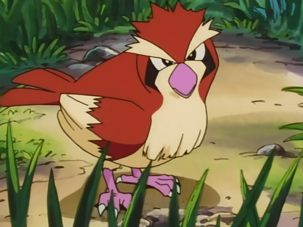 25 Fun And Interesting Facts About Pidgey From Pokemon Tons Of Facts