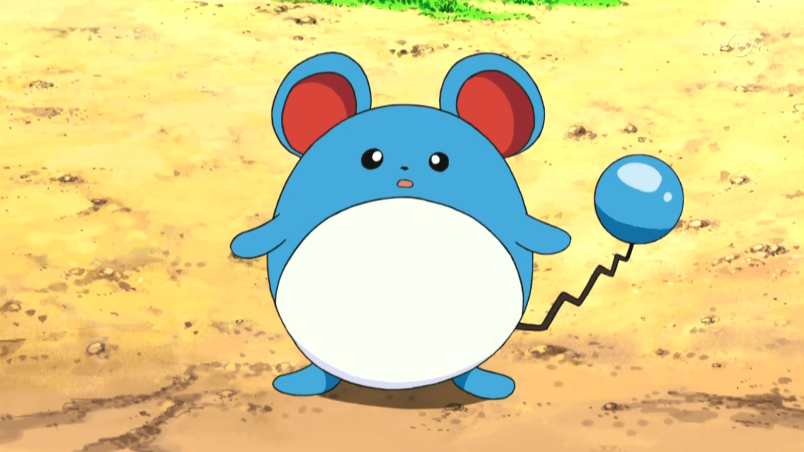 27 Fun And Interesting Facts About Marill From Pokemon Tons Of Facts