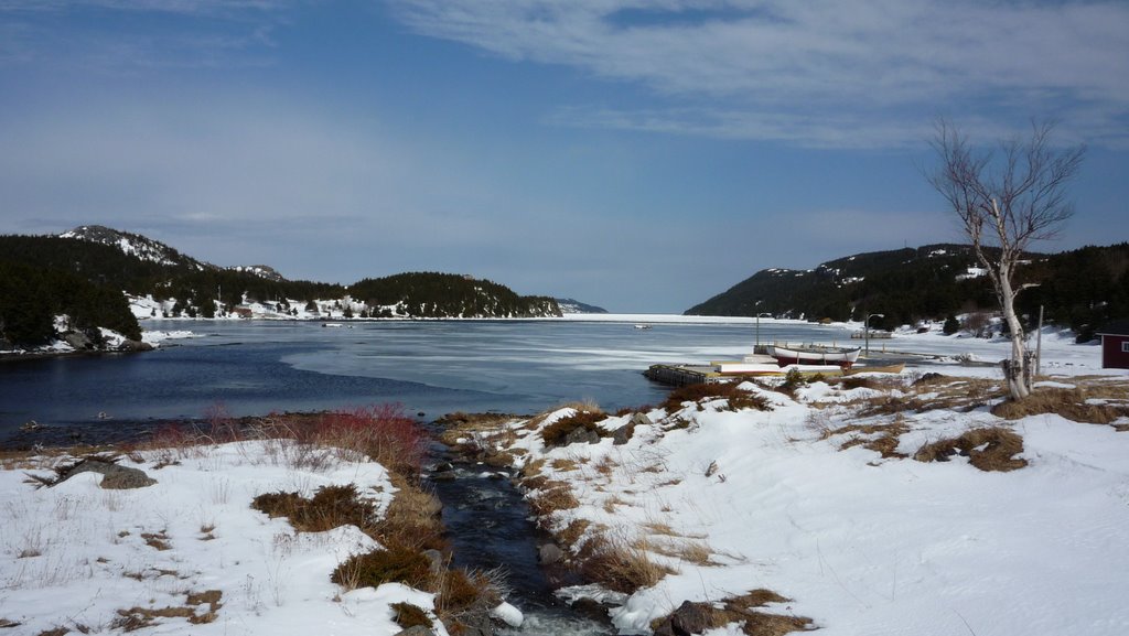 16 Interesting And Amazing Facts About Avondale, Newfoundland And