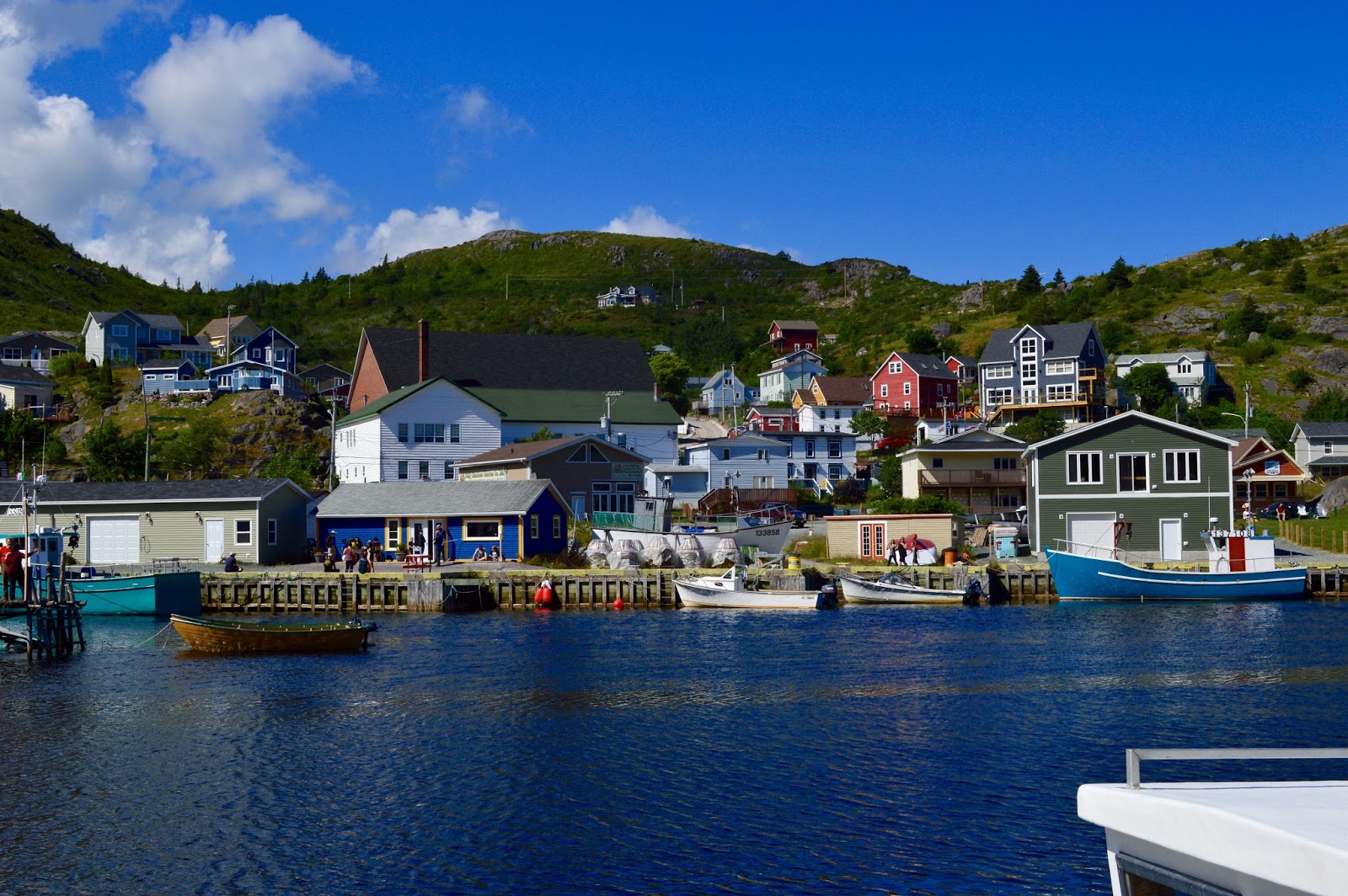 25 Interesting And Amazing Facts About Petty HarbourMaddox Cove