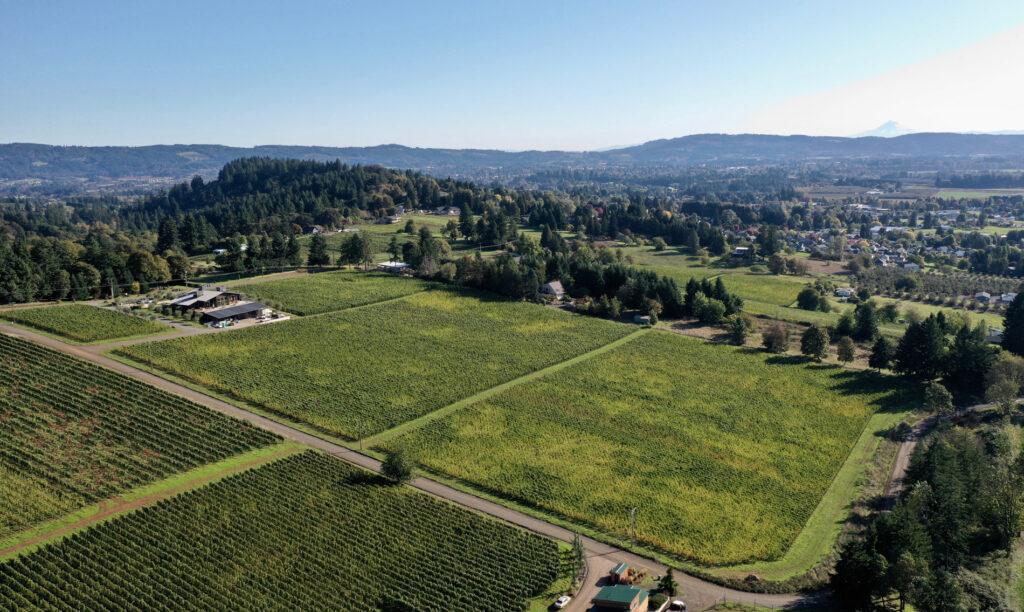 10 Great And Awesome Facts About Dundee, Oregon, United States Tons