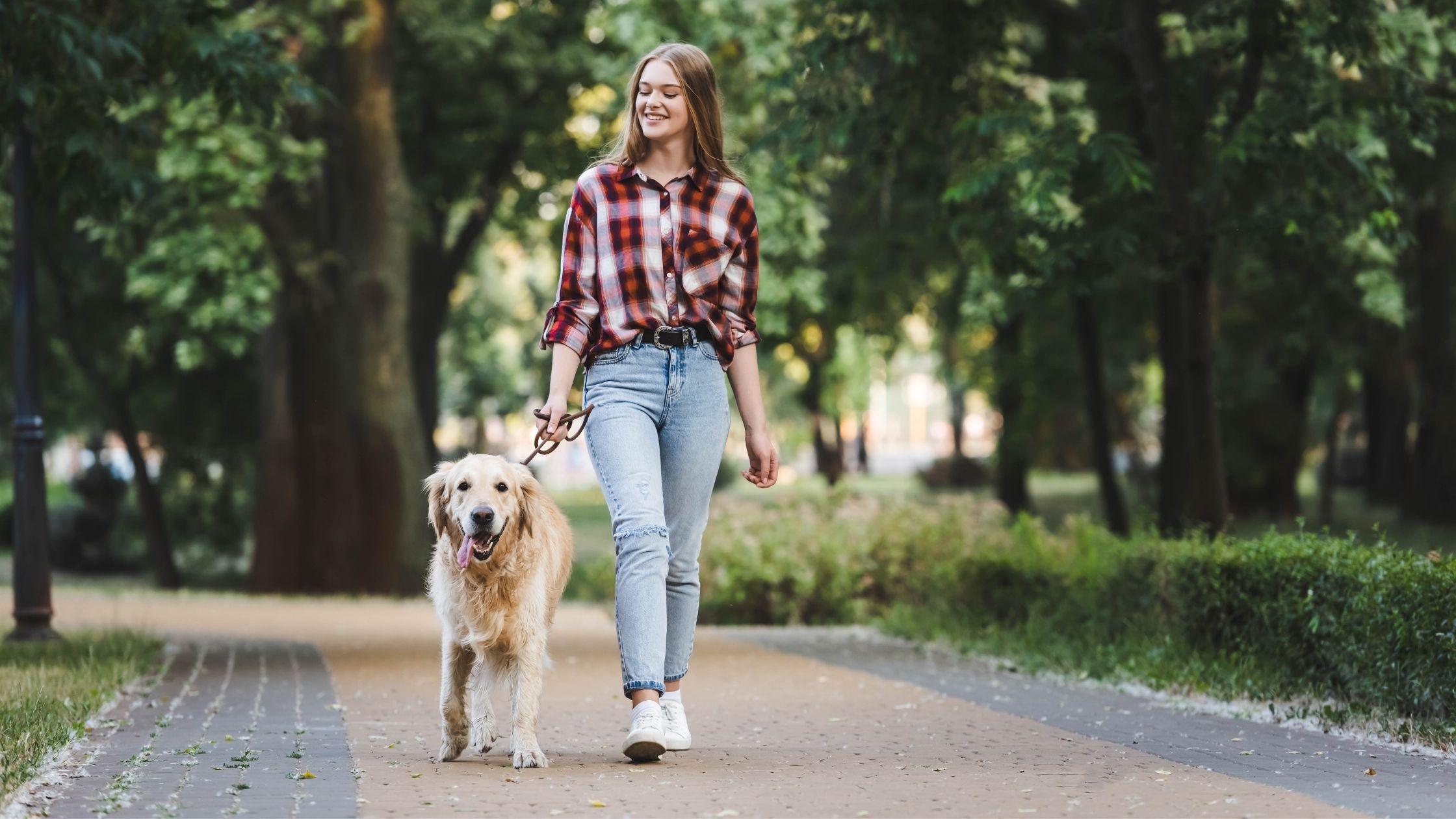 How a Dog Can Inspire You to Walk Every Day ⋆ Tons of Goodness