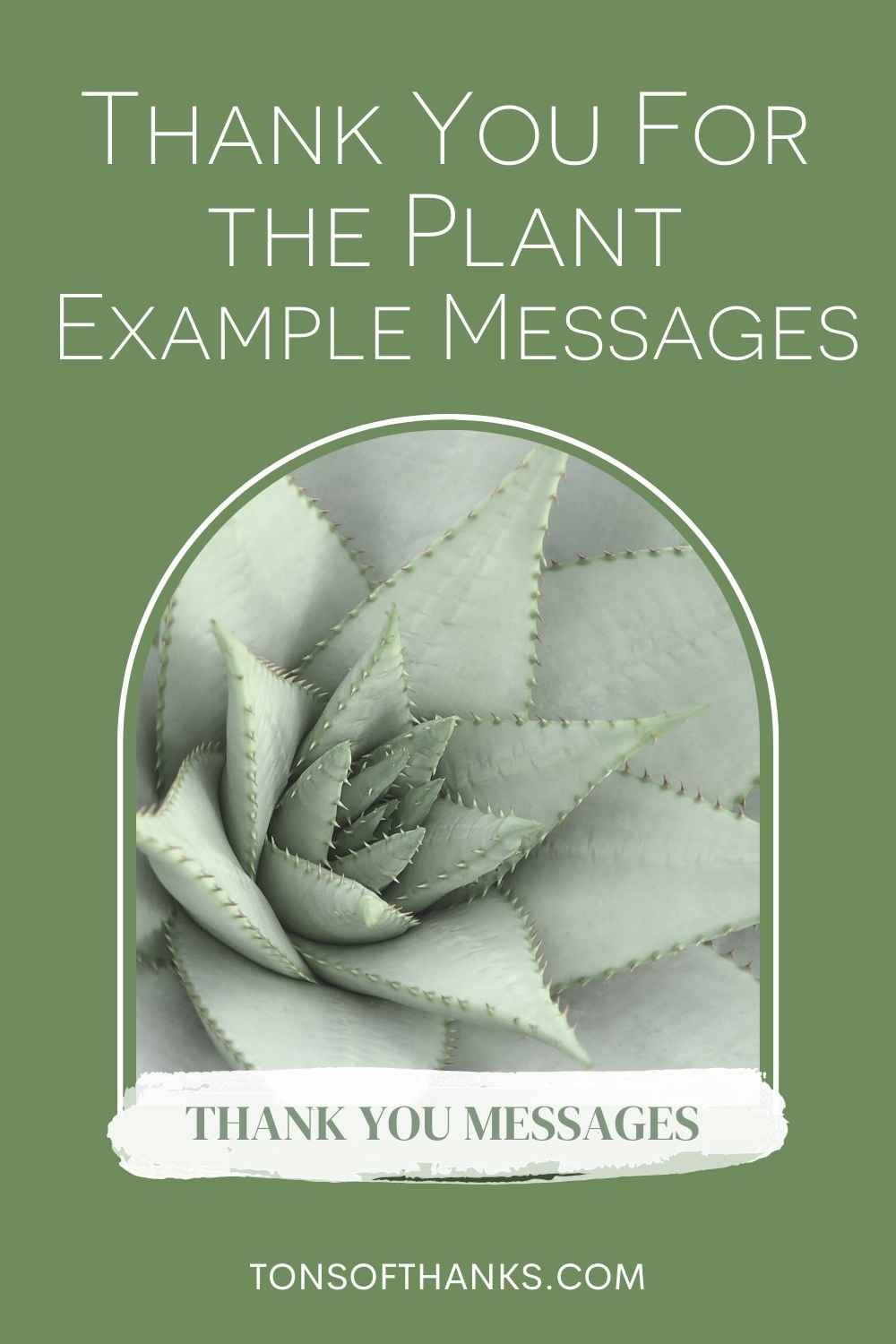 25 Thank You For The Plant Messages