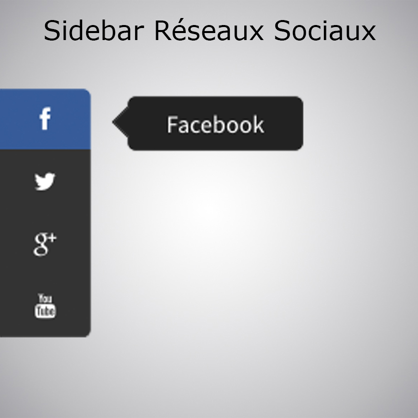 Plugin Sidebar Réseaux Sociaux WA 4 Tonton du 