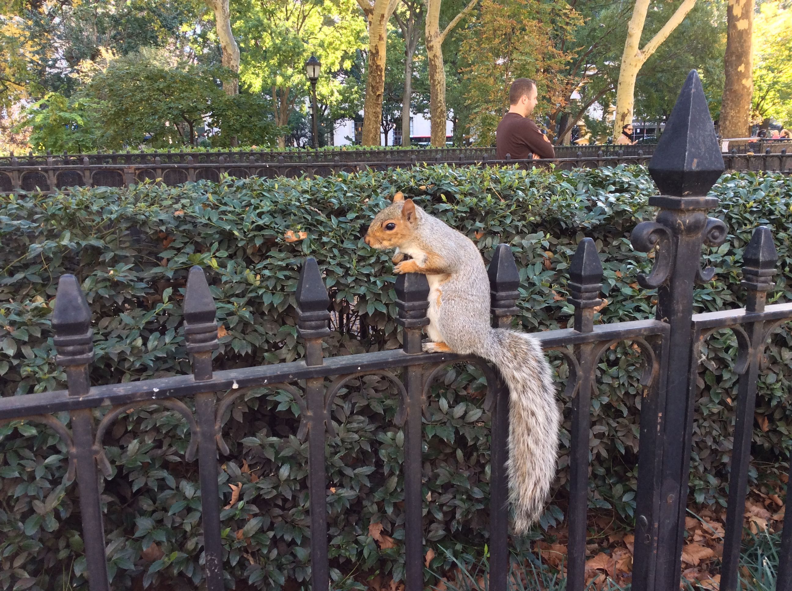 Mis 7 actividades preferidas en NY (Manhattan)