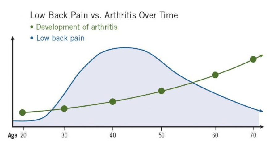 low back chart - Tony Gentilcore