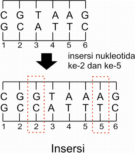 DETAIL MUTASI - BIOLOGI GONZAGA