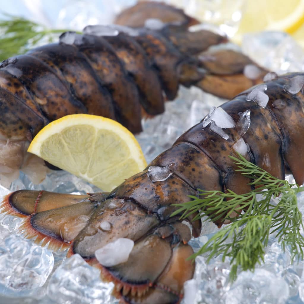 4 oz. Cold Water Lobster Tails Tony's Meats & Market