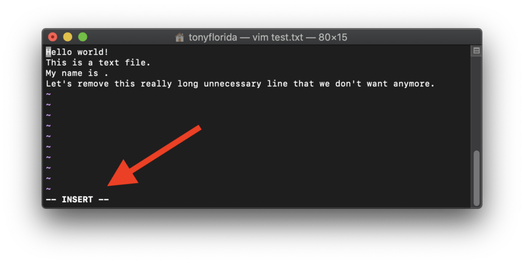 Bare Minimum Vim Tutorial for Beginners Tony Teaches Tech