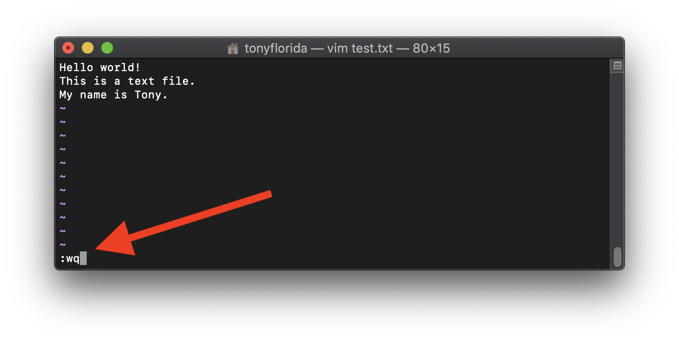 Bare Minimum Vim Tutorial for Beginners Tony Teaches Tech