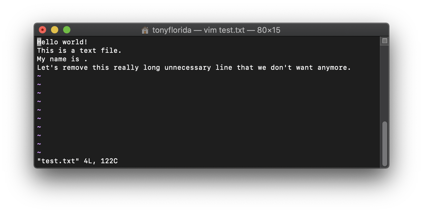 Windows vim open in terminal diawest