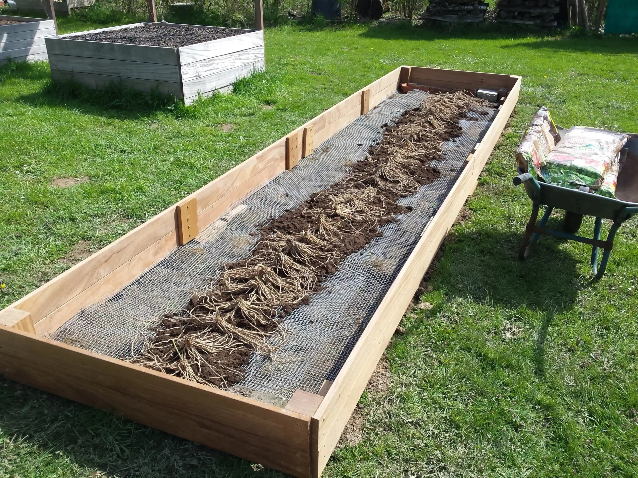 Growing asparagus in a raised bed — Planting an asparagus bed