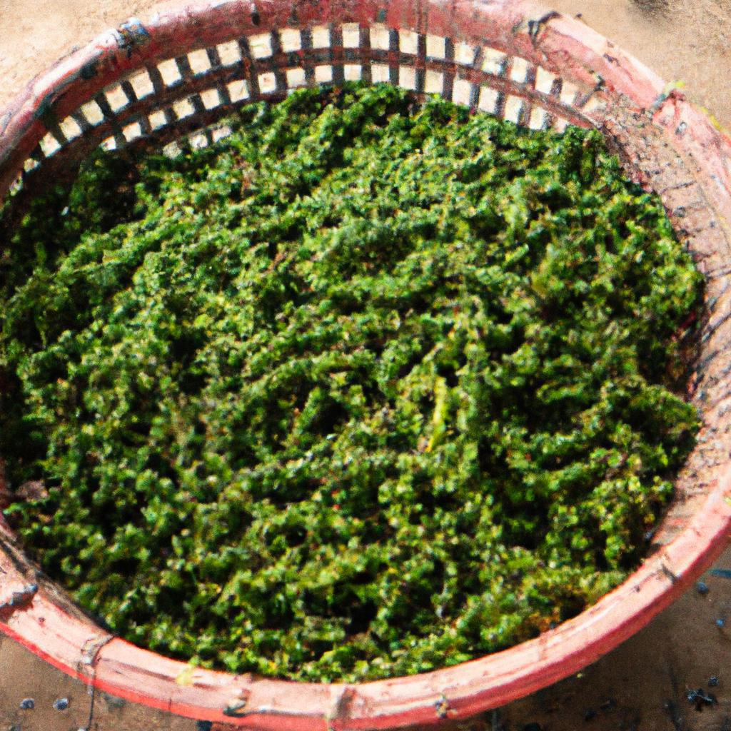 The Unique Flavor of Phu Quoc Pepper A Comprehensive Guide TooLacks