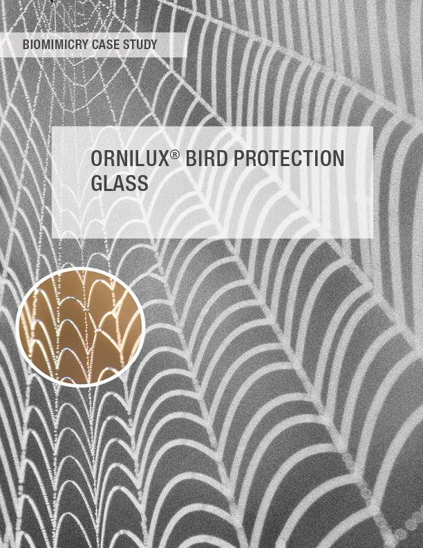 Case Studies Biomimicry Toolbox