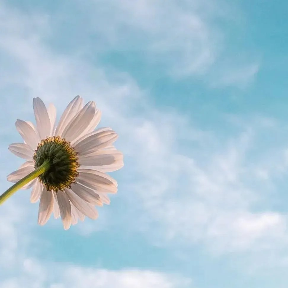 Matching Other’s Energy The Key to Deeper Connection ⋆ The Toolbox