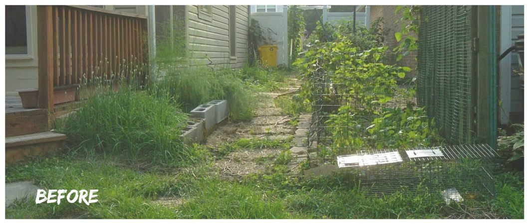 Backyard Renovation On A Dime