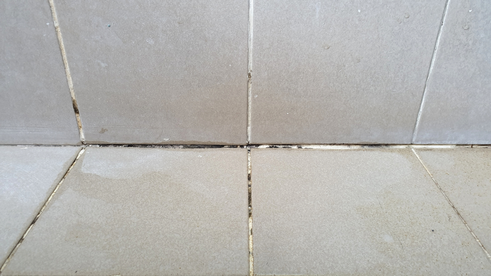 How to Seal Grout A Simple Guide to Revitalize Your Tiles Tool Digest