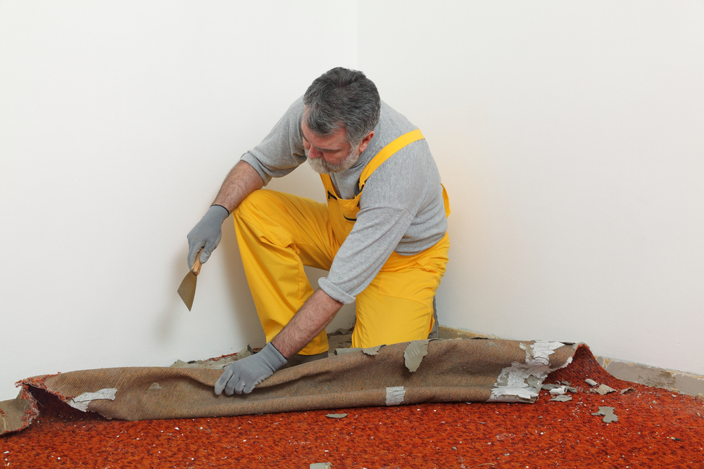 How to Remove Carpet Glue Quickly and Easily Tool Digest