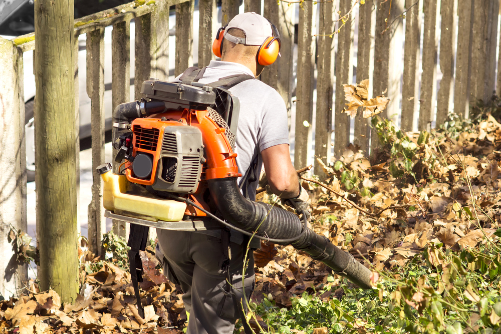 Best Backpack Leaf Blowers 2021 Keep Any Lawn Clear Tool Digest
