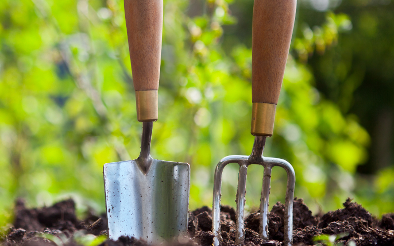 Best Garden Hand Tools MustHave Essentials for Gardeners Tool Gear Lab