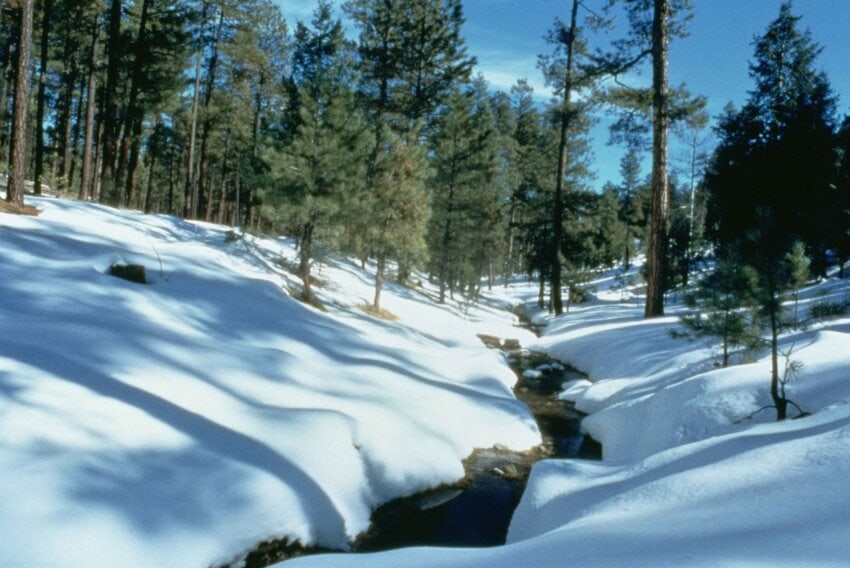 Winter snow in Arizona U.S. Climate Resilience Toolkit