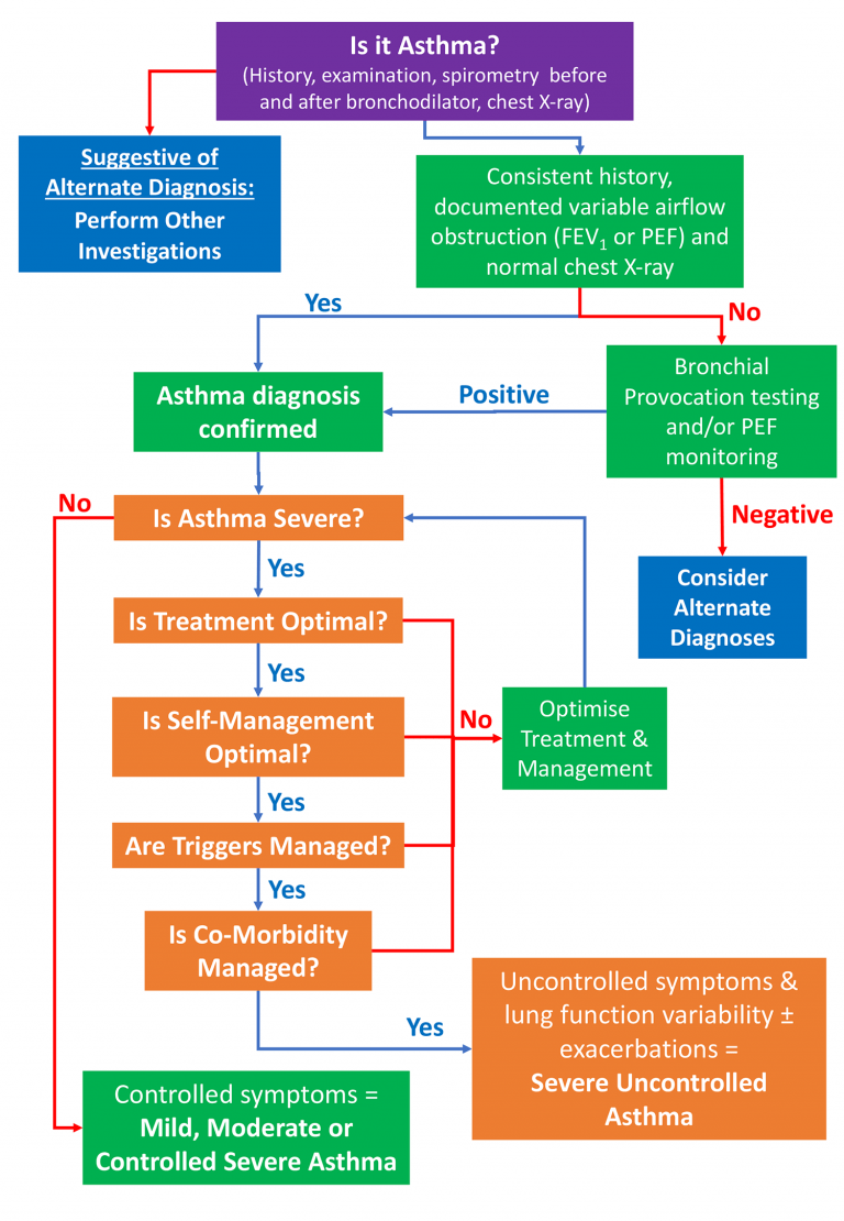 Severe Asthma Diagnosis and Assessment Severe Asthma Toolkit