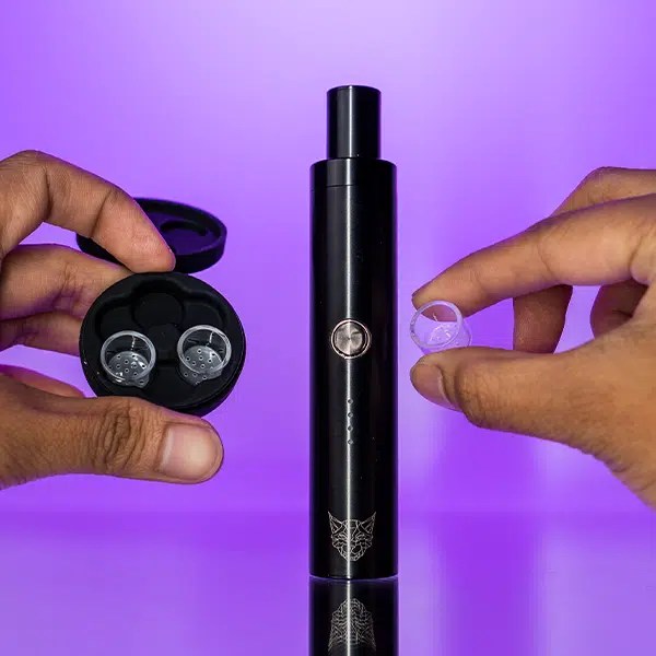 Linx Eden Switch Review Tools420 USA