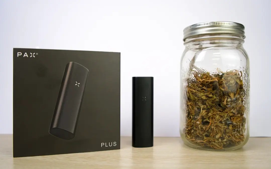 Pax Plus Review - How does it compare to Pax 3? - Tools420 USA