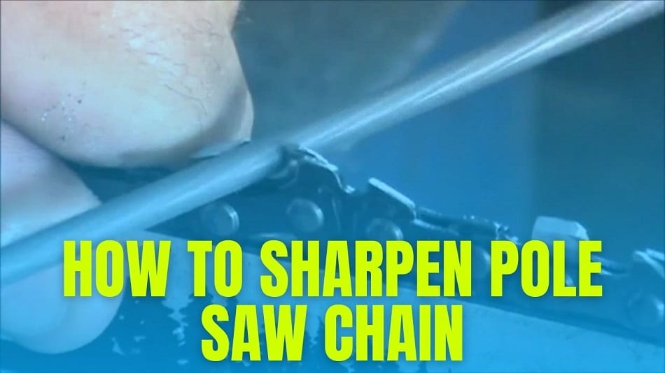 How to Sharpen Pole Saw Chain When & What's Required