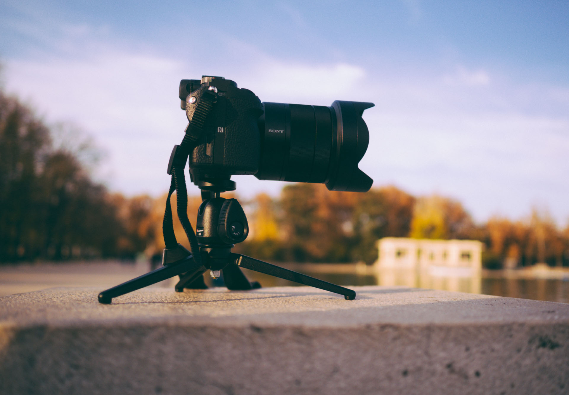 The Manfrotto 209 + 492 Long Tabletop Tripod Kit — Tools and Toys