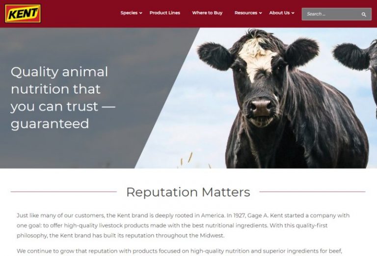 Kent Feeds Toolset Showcase