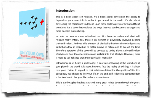 Self Reliance PLR Special Tools For Motivation