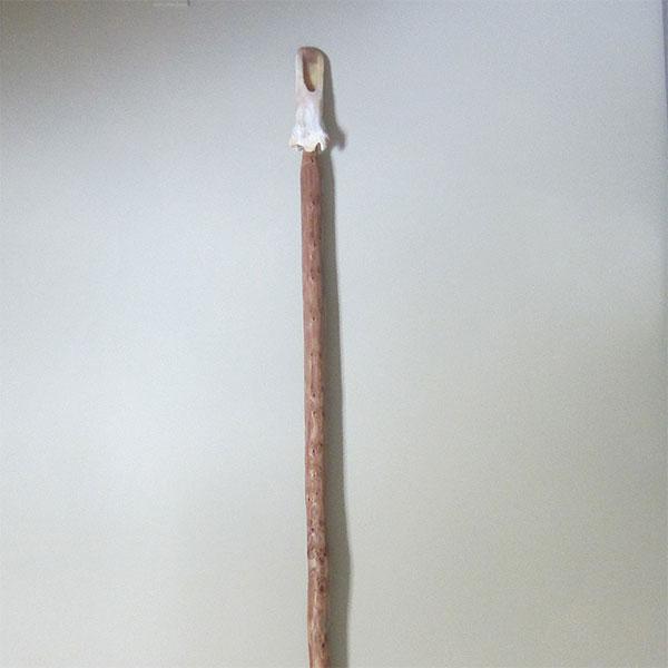 Bison Bone Tipped Digging Stick Tools From The Earth