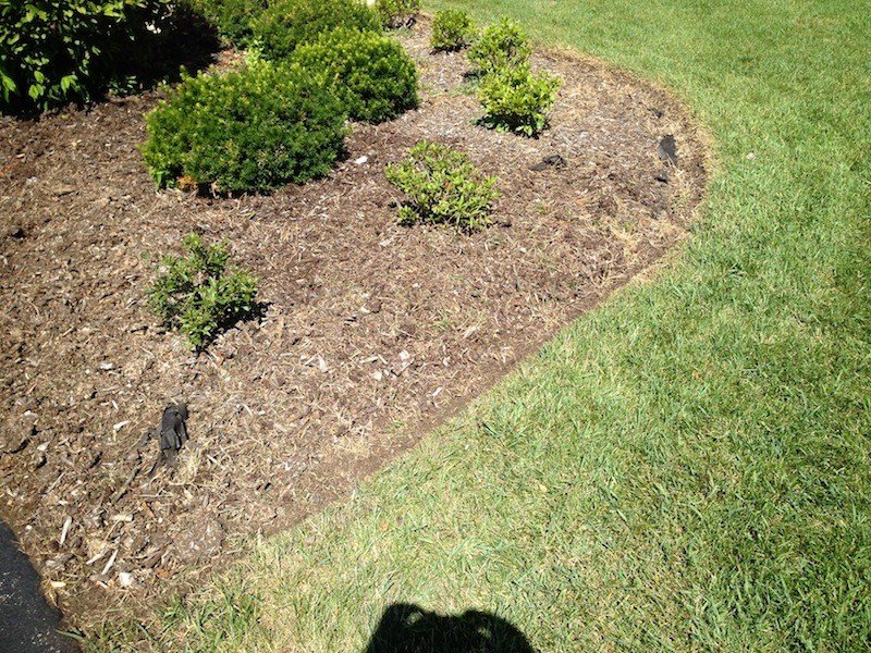 Craftsman 140cc Gas Edger - Review - Tools In Action - Power Tool Reviews