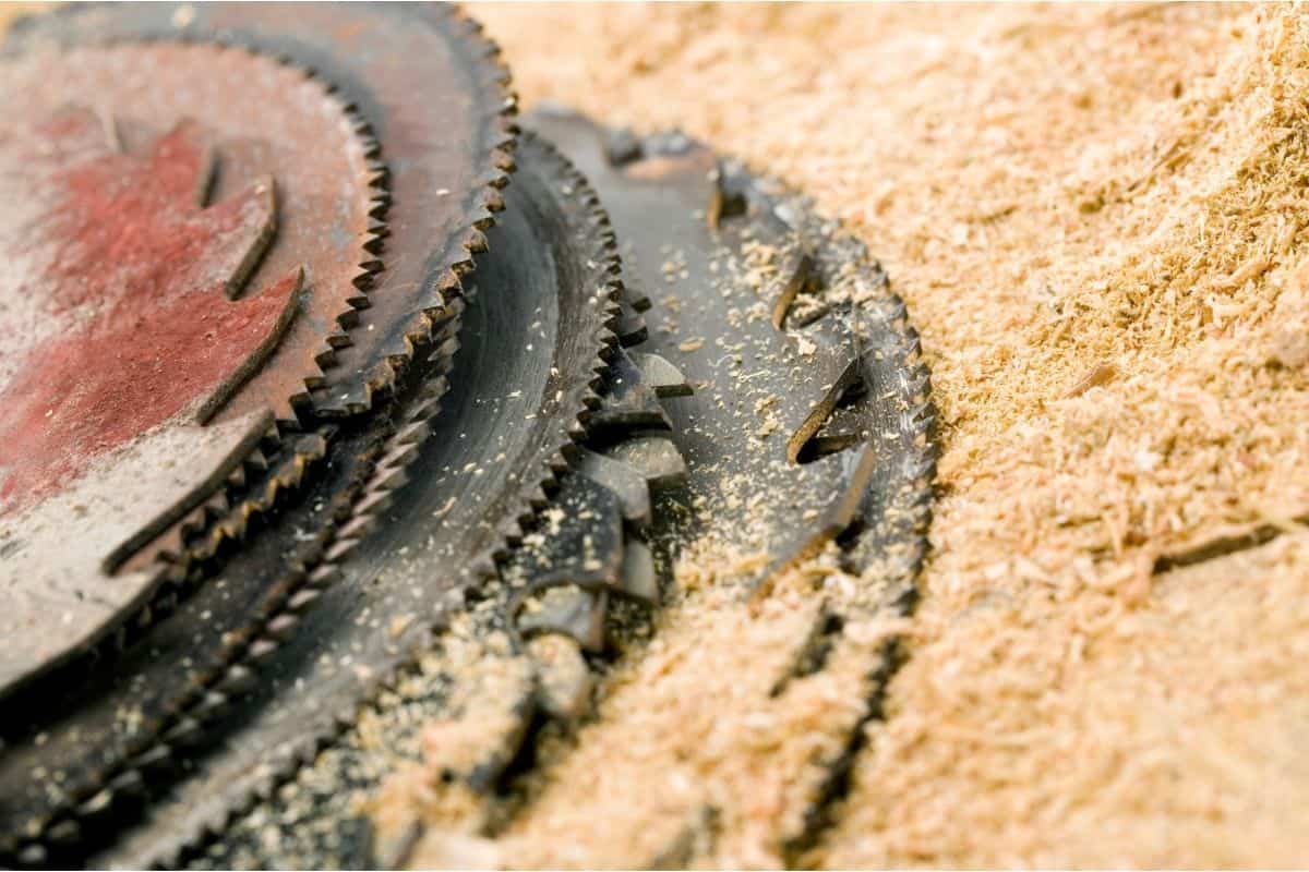 Types of Circular Saw Blade Explained All You Need to Know