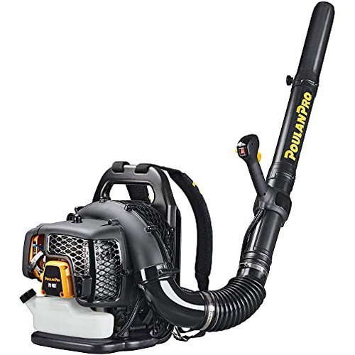 Best Backpack Blower Top Products & Buying Guide