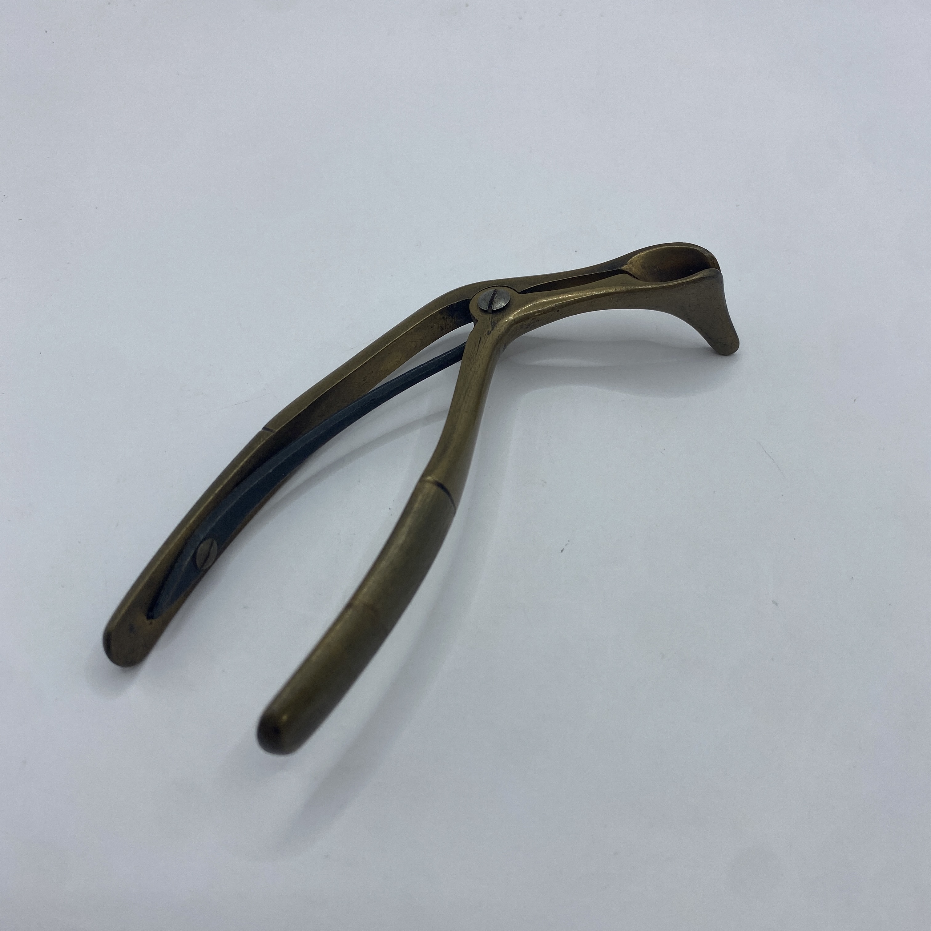 Bronze Nasal Speculum (Rounded) Tools of Yesterday
