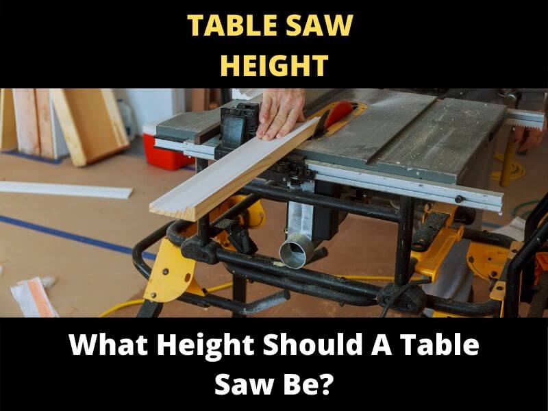 Question i've had to hire an employee, so i think it's about time i put a guard on my unisaw. What Height Should A Table Saw Be Toolsowner