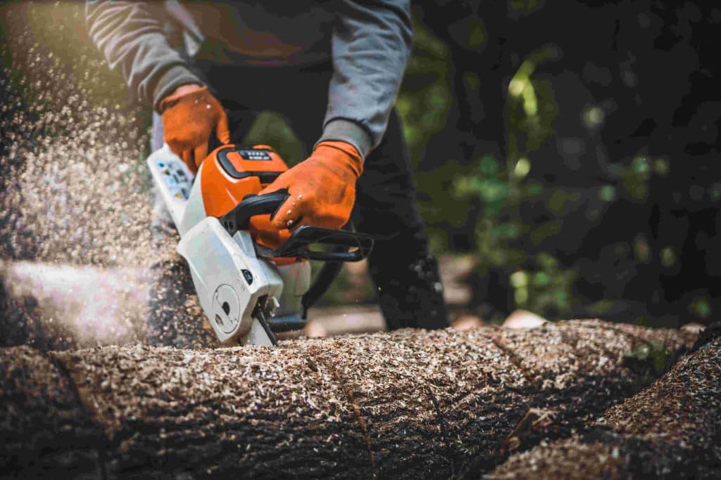 Best Chain Saws For The Money in 2023 (Reviews & Guide)