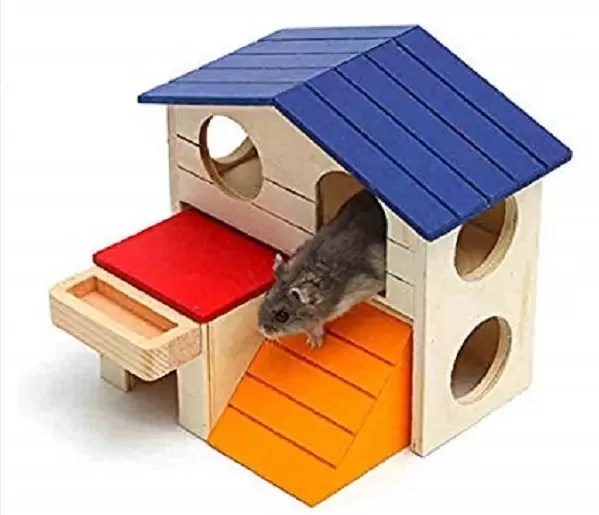 DIY Hamster Toys Make In 4 Steps At Home (Under 2)