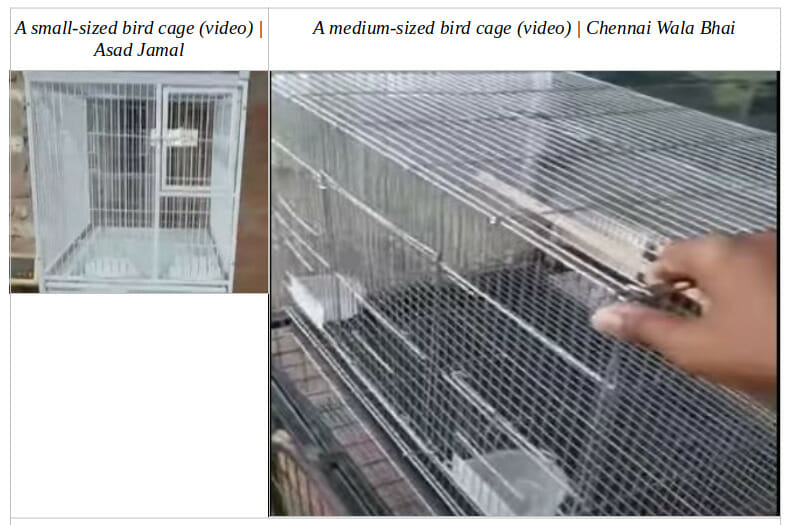 How to Make a Bird Cage with Wire (5 Steps)
