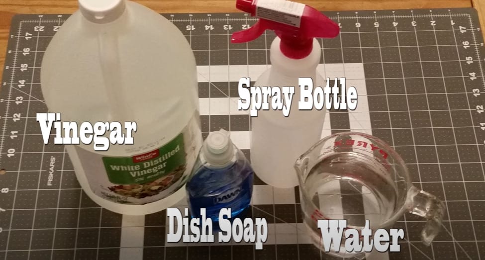 DIY Magic How to Make the Best Homemade Window Cleaner (Guide)