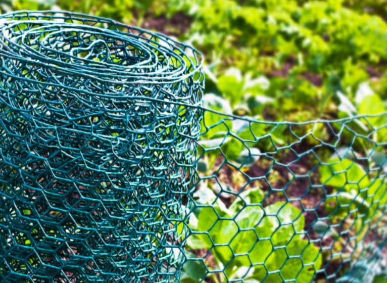 How to Cut Chicken Wire (An Easy Method Guide)