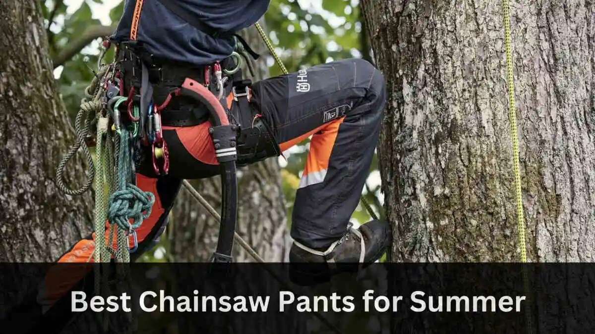 5 Best Chainsaw Pants 2024 Toolyaa