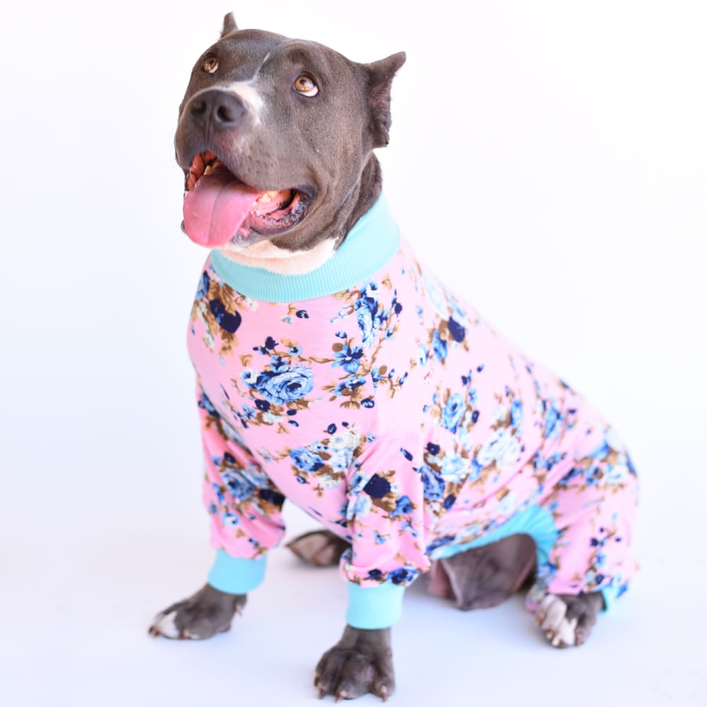 Pink Floral Dog Pajamas Tooth & Honey