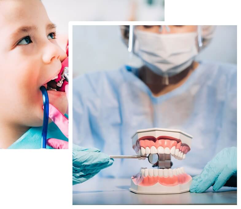 Orangeville Dentist Dental Care Tooth Buds Dentistry