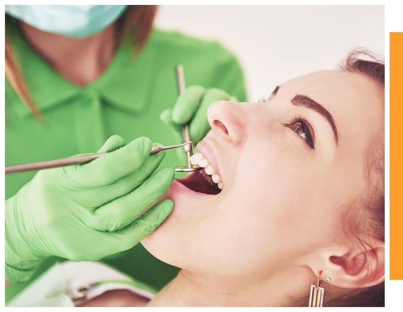 Orangeville Dentist Dental Care Tooth Buds Dentistry