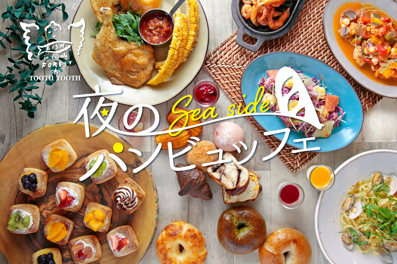 TOOTH TOOTH / トゥース・トゥース