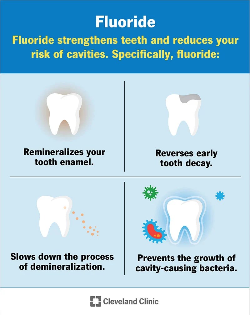 Hydroxyapatite Vs. Fluoride Full Comparison + Which Is Better? Tooth