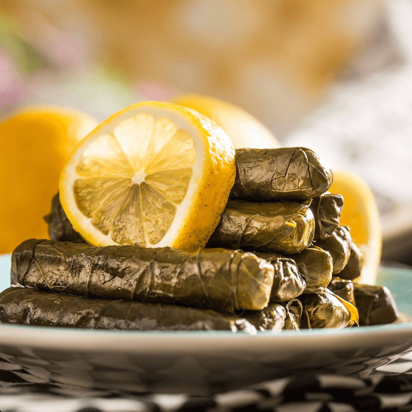 Stuffed Grape Leaves Toozlook